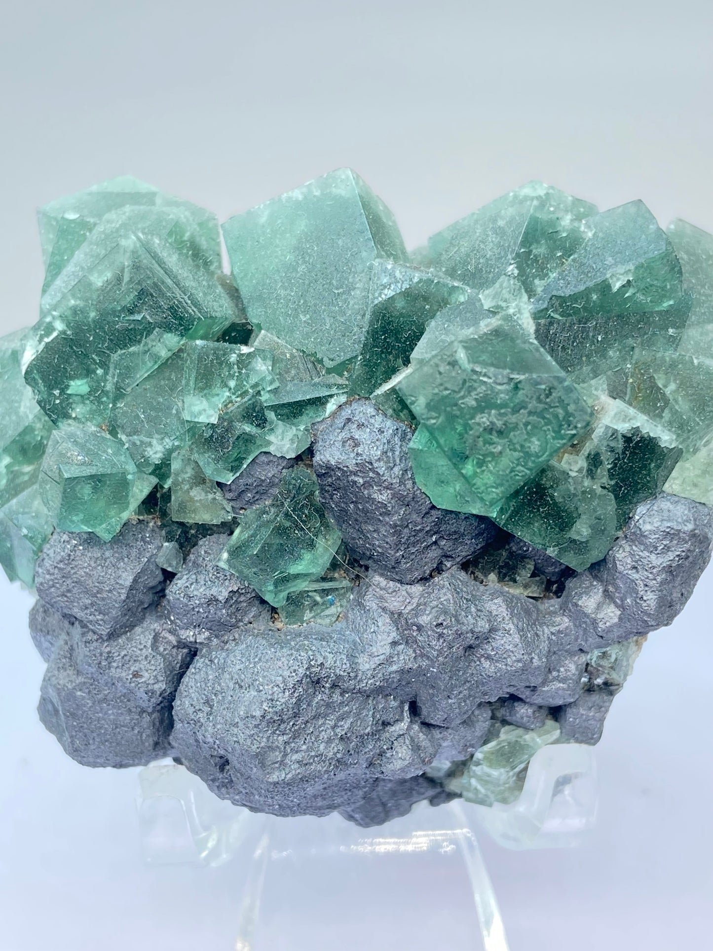 #1 Greedy Hog Colour Change Green Fluorite With Galena From The Greedy Hog Pocket, Diana Maria Mine, Weardale, County Durham, U.K.