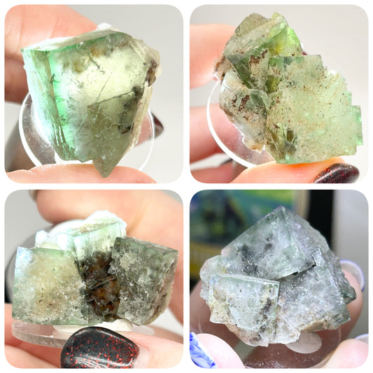 Poison Ivy Green-Yellow Fluorite Single Cubes & Clusters Small From Poison Ivy Pocket, Lady Annabella Mine, Weardale, U.K. 🇬🇧 Pick Your Specimen - Black Box