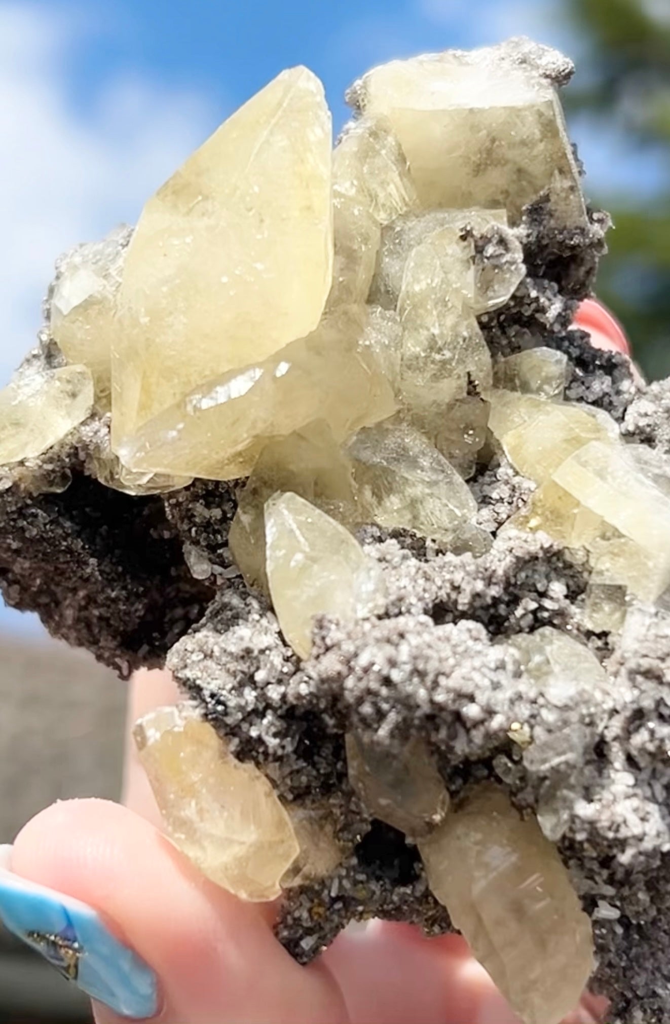 Collectors #11 XL Sweetwater Yellow Calcite On Marcasite Large From Sweetwater Mine, Reynolds County, Missouri, USA 🇺🇸