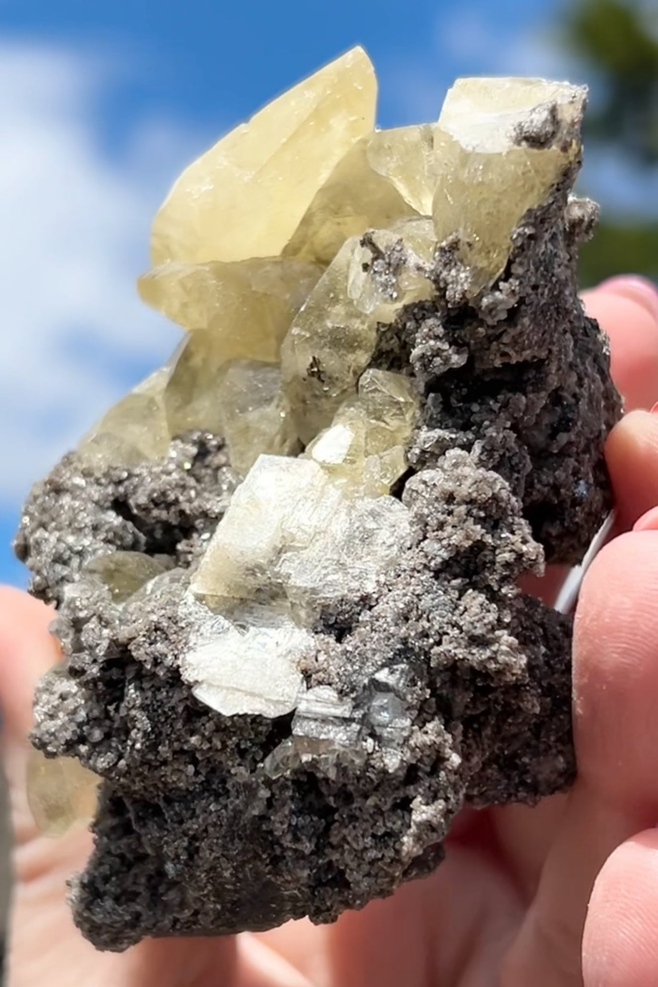 Collectors #11 XL Sweetwater Yellow Calcite On Marcasite Large From Sweetwater Mine, Reynolds County, Missouri, USA 🇺🇸