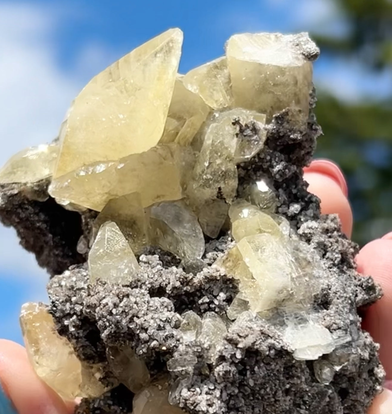 Collectors #11 XL Sweetwater Yellow Calcite On Marcasite Large From Sweetwater Mine, Reynolds County, Missouri, USA 🇺🇸