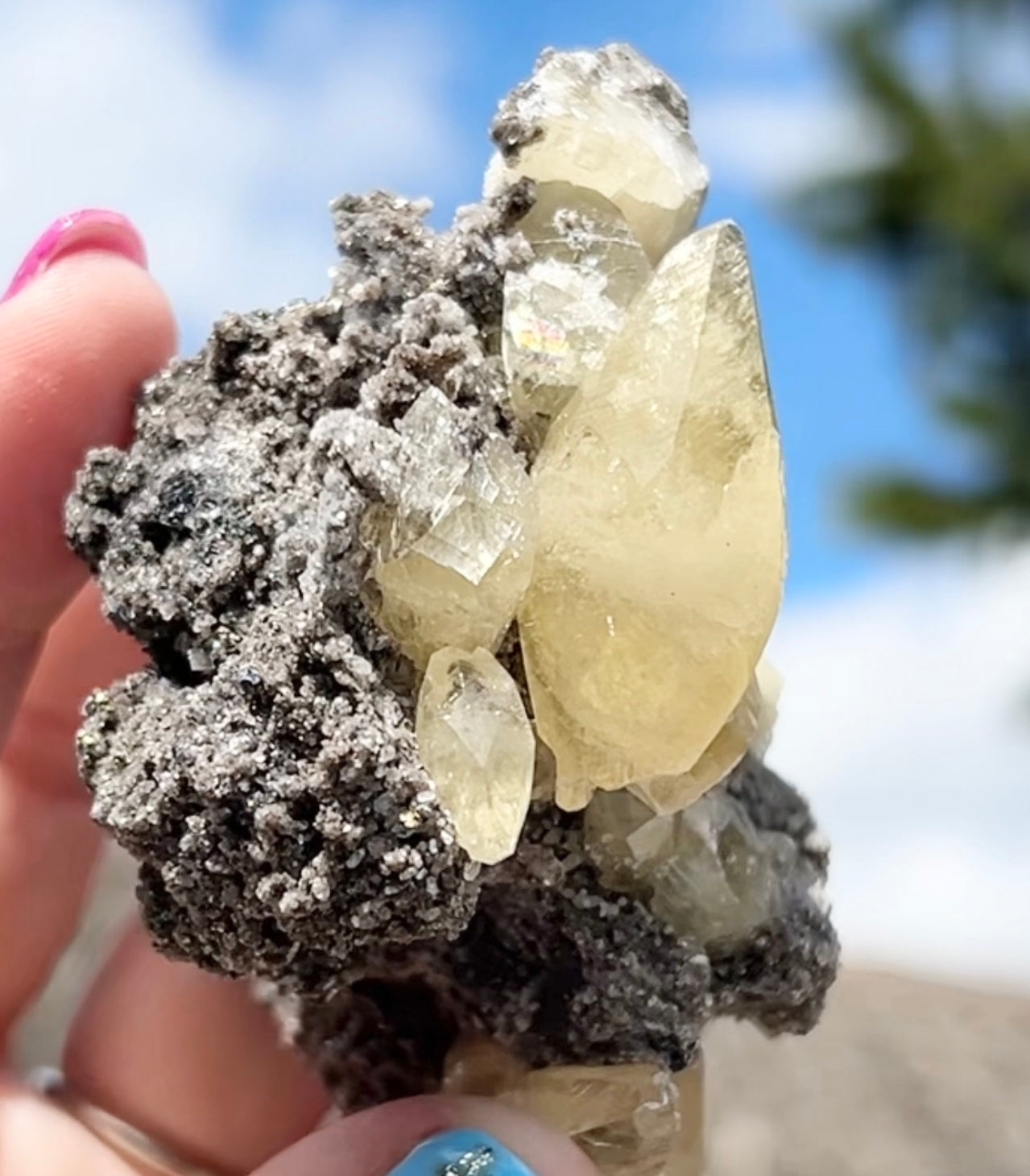 Collectors #11 XL Sweetwater Yellow Calcite On Marcasite Large From Sweetwater Mine, Reynolds County, Missouri, USA 🇺🇸