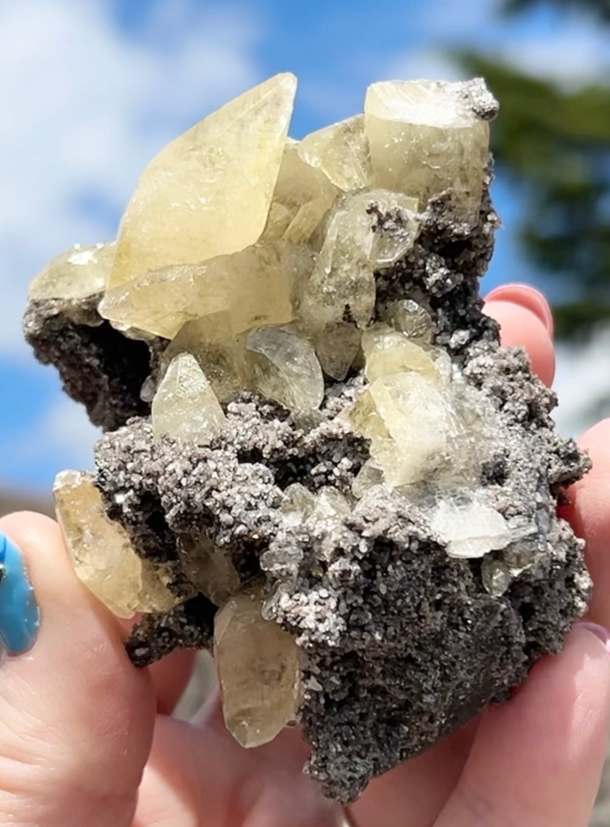 Collectors #11 XL Sweetwater Yellow Calcite On Marcasite Large From Sweetwater Mine, Reynolds County, Missouri, USA 🇺🇸
