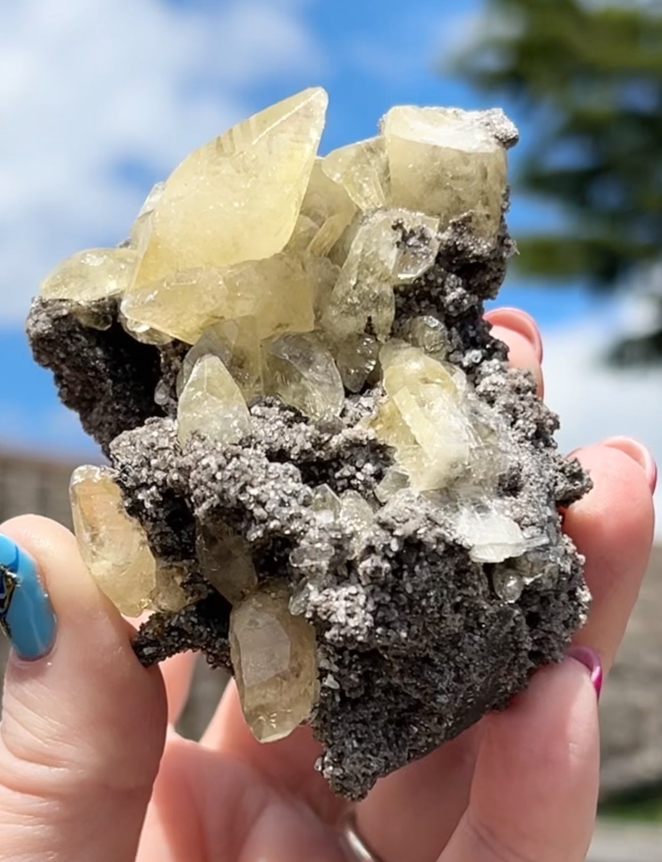 Collectors #11 XL Sweetwater Yellow Calcite On Marcasite Large From Sweetwater Mine, Reynolds County, Missouri, USA 🇺🇸