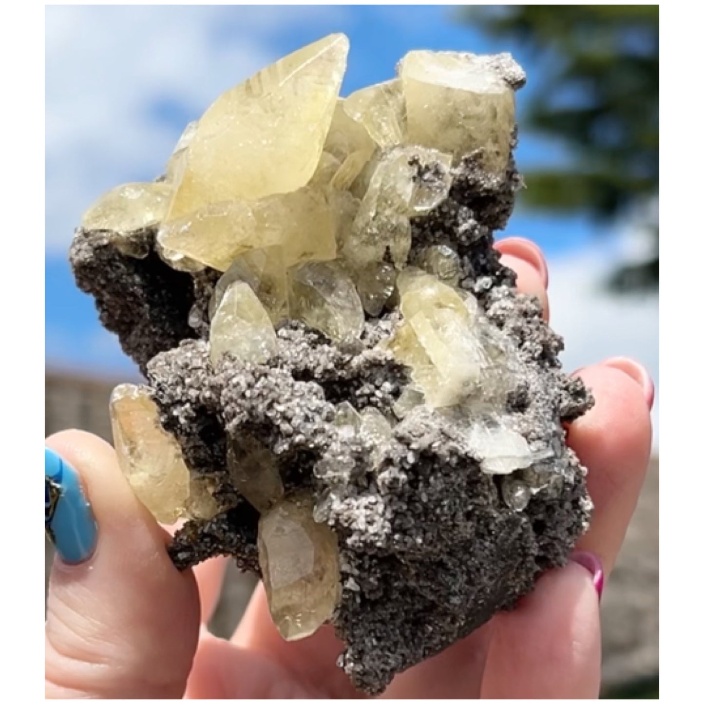 Collectors #11 XL Sweetwater Yellow Calcite On Marcasite Large From Sweetwater Mine, Reynolds County, Missouri, USA 🇺🇸