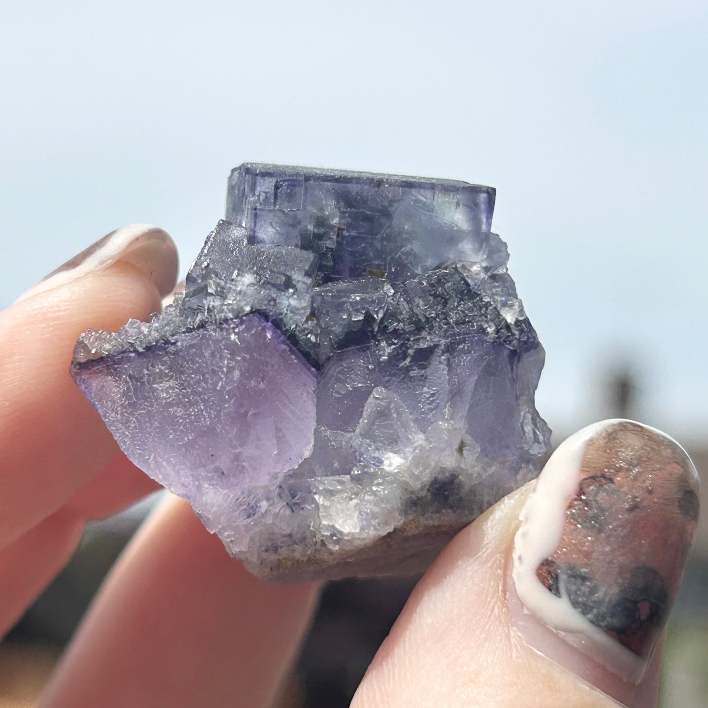 #2 Larkin Blue Fluorite with Chlorite Inclusions from Larkin's Quarry, Shannapheasteen, Costelloe, Connemara, Galway County, Connacht, Ireland 🇮🇪