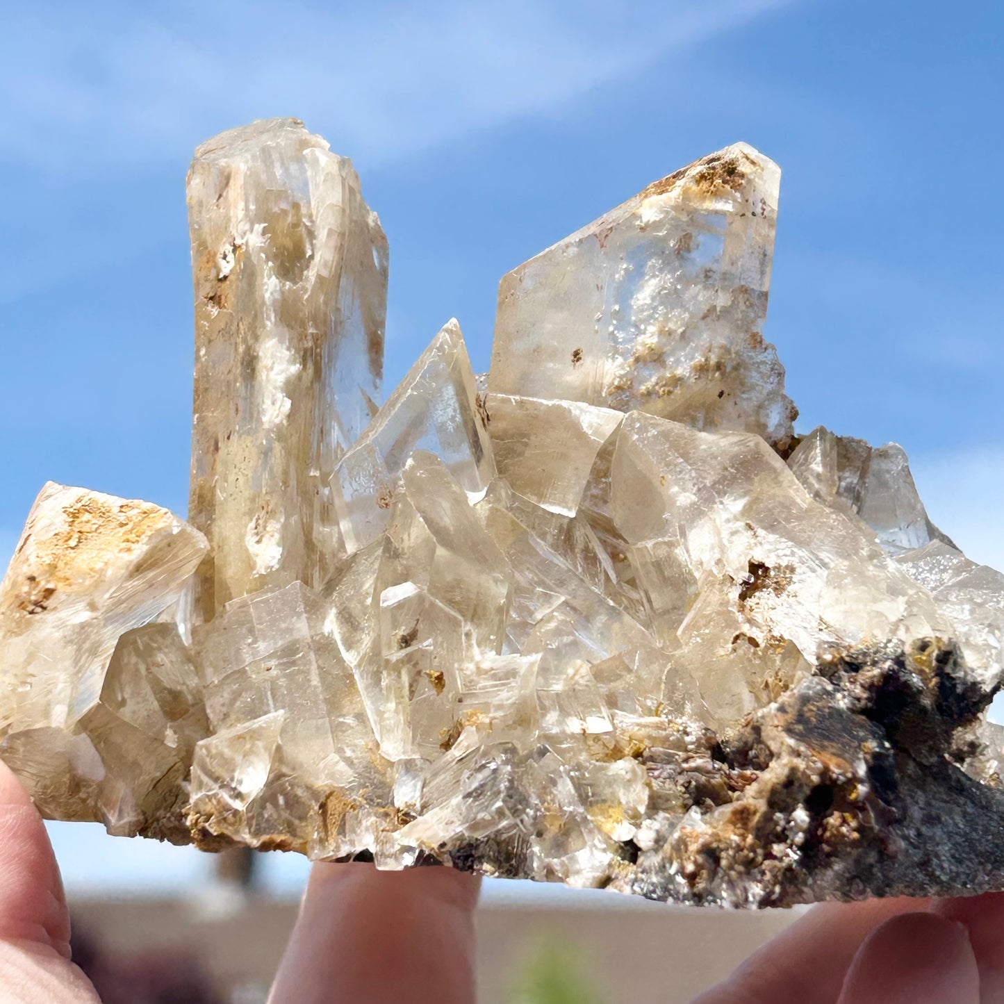 Selenite XL Cluster from New Find in Durango, Mexico 🇲🇽 #1
