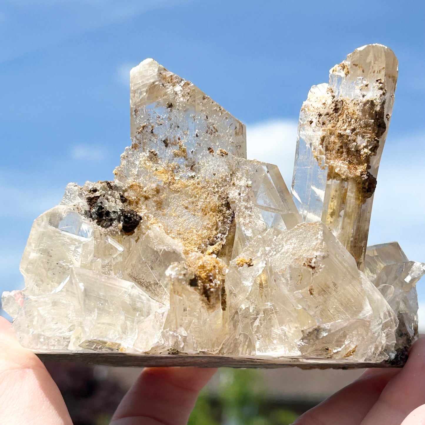 Selenite XL Cluster from New Find in Durango, Mexico 🇲🇽 #1