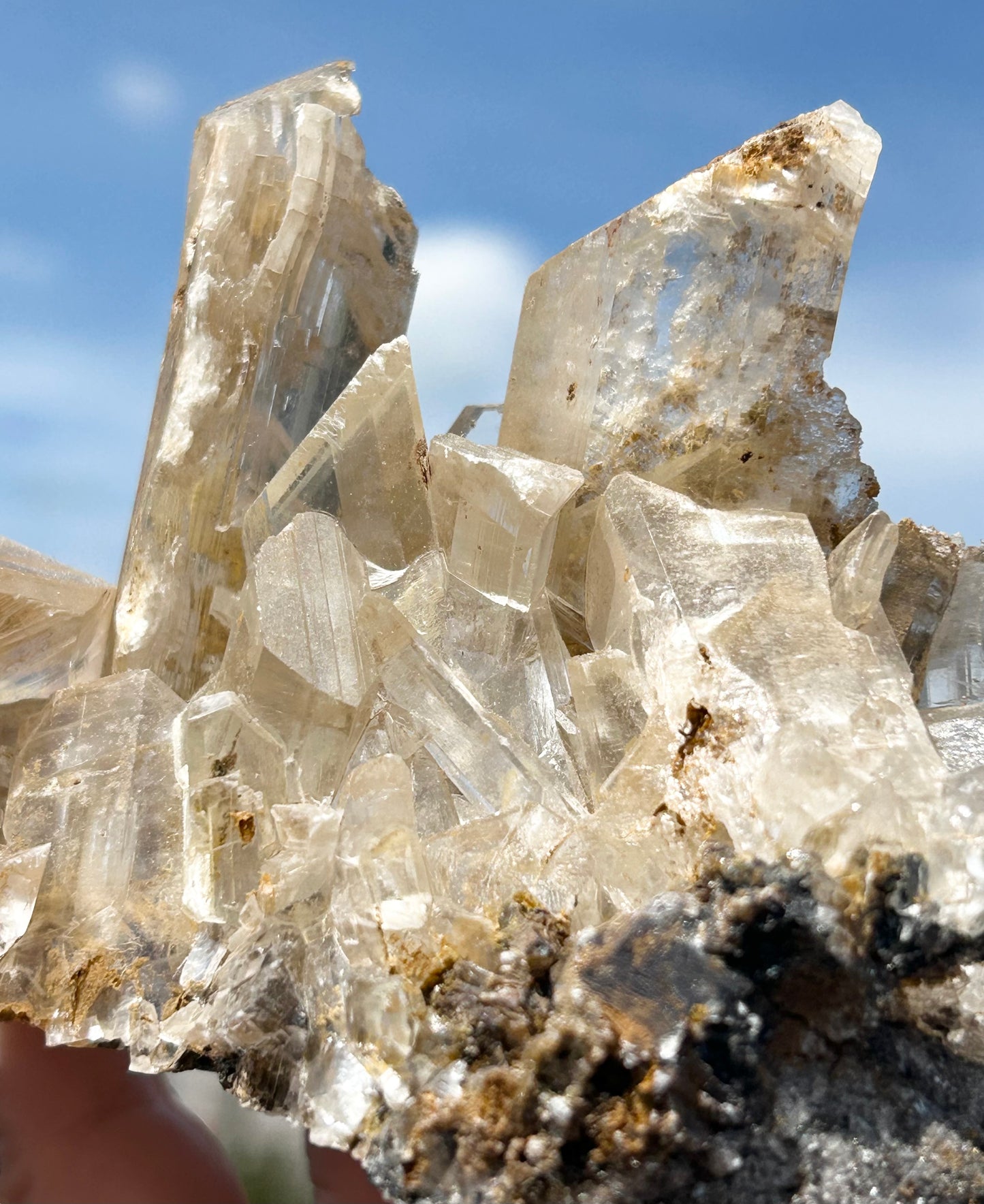 Selenite XL Cluster from New Find in Durango, Mexico 🇲🇽 #1