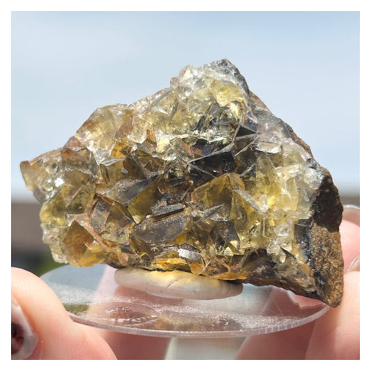 #8 Honey 🍯 Pocket Yellow Fluorite From Okorusu, Namibia 🇳🇦
