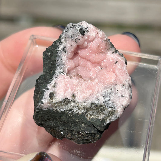 Pink Botryoidal Rhodochrosite from Potisi Mine, Francisco, Santa Eulalia, Chihuahua, Mexico 🇲🇽 #4