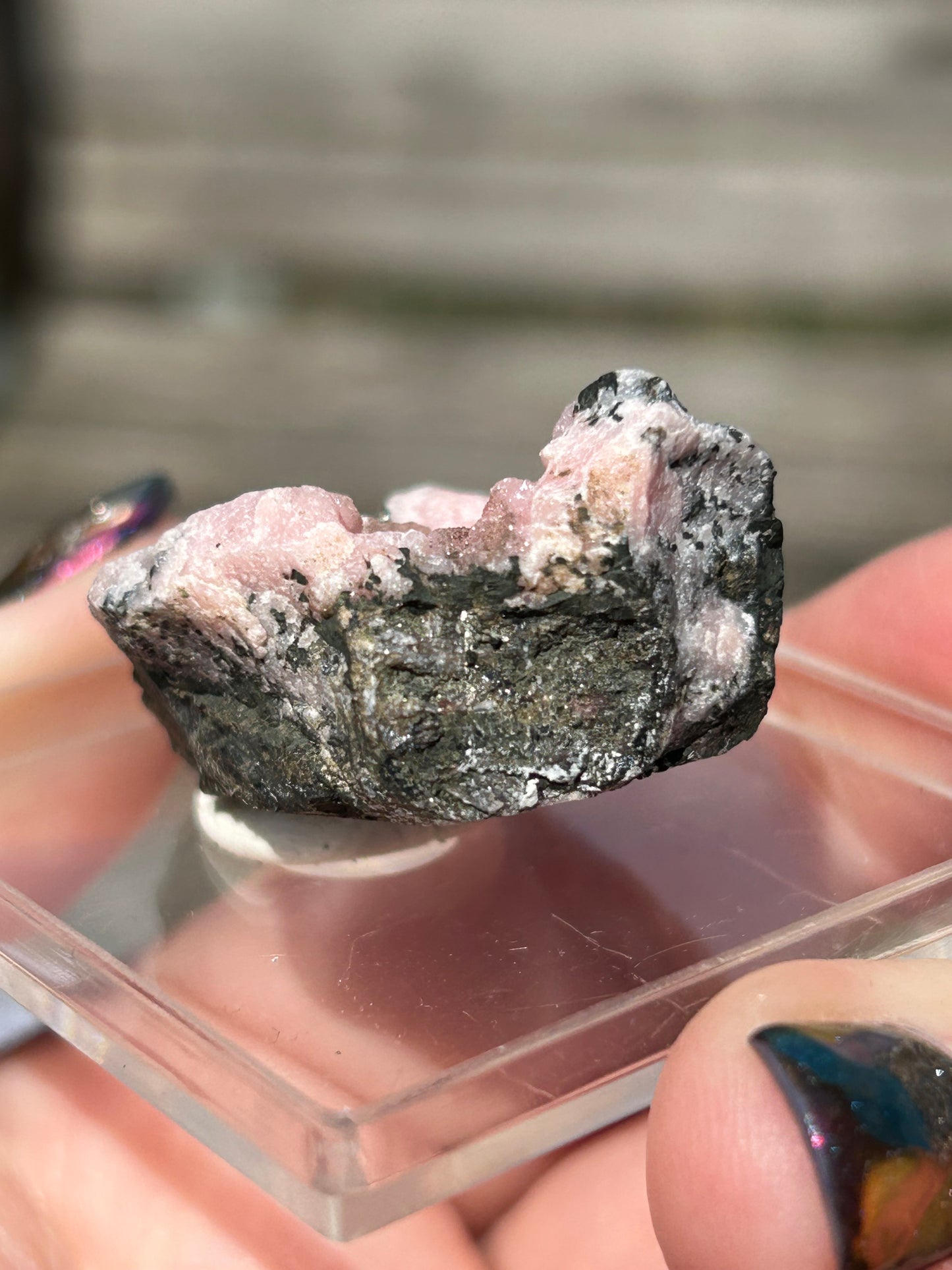 Pink Botryoidal Rhodochrosite from Potisi Mine, Francisco, Santa Eulalia, Chihuahua, Mexico 🇲🇽 #4