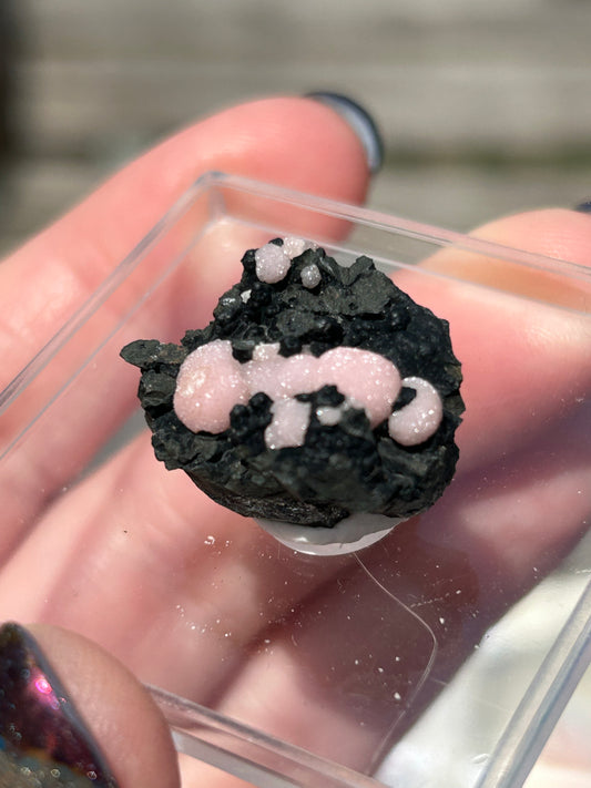 Pink Botryoidal Rhodochrosite from Potisi Mine, Francisco, Santa Eulalia, Chihuahua, Mexico 🇲🇽 #8