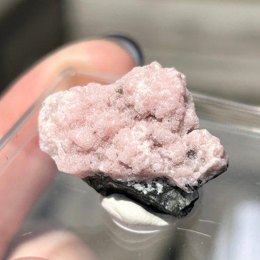 Pink Botryoidal Rhodochrosite from Potisi Mine, Francisco, Santa Eulalia, Chihuahua, Mexico 🇲🇽 #11