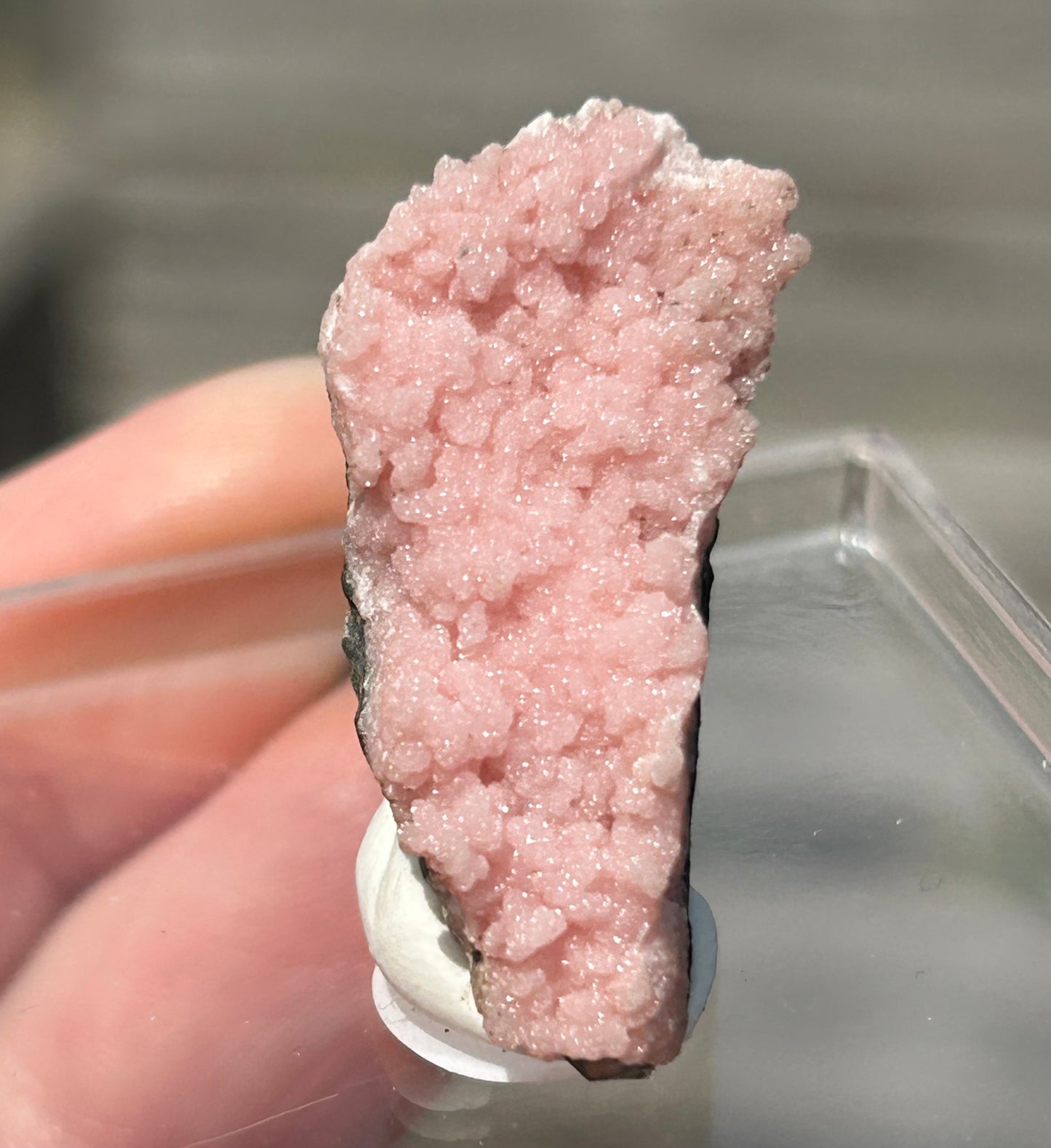 Pink Botryoidal Rhodochrosite from Potisi Mine, Francisco, Santa Eulalia, Chihuahua, Mexico 🇲🇽 #14