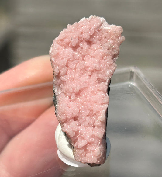 Pink Botryoidal Rhodochrosite from Potisi Mine, Francisco, Santa Eulalia, Chihuahua, Mexico 🇲🇽 #14