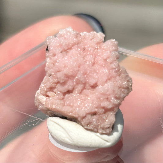 Pink Botryoidal Rhodochrosite from Potisi Mine, Francisco, Santa Eulalia, Chihuahua, Mexico 🇲🇽 #18