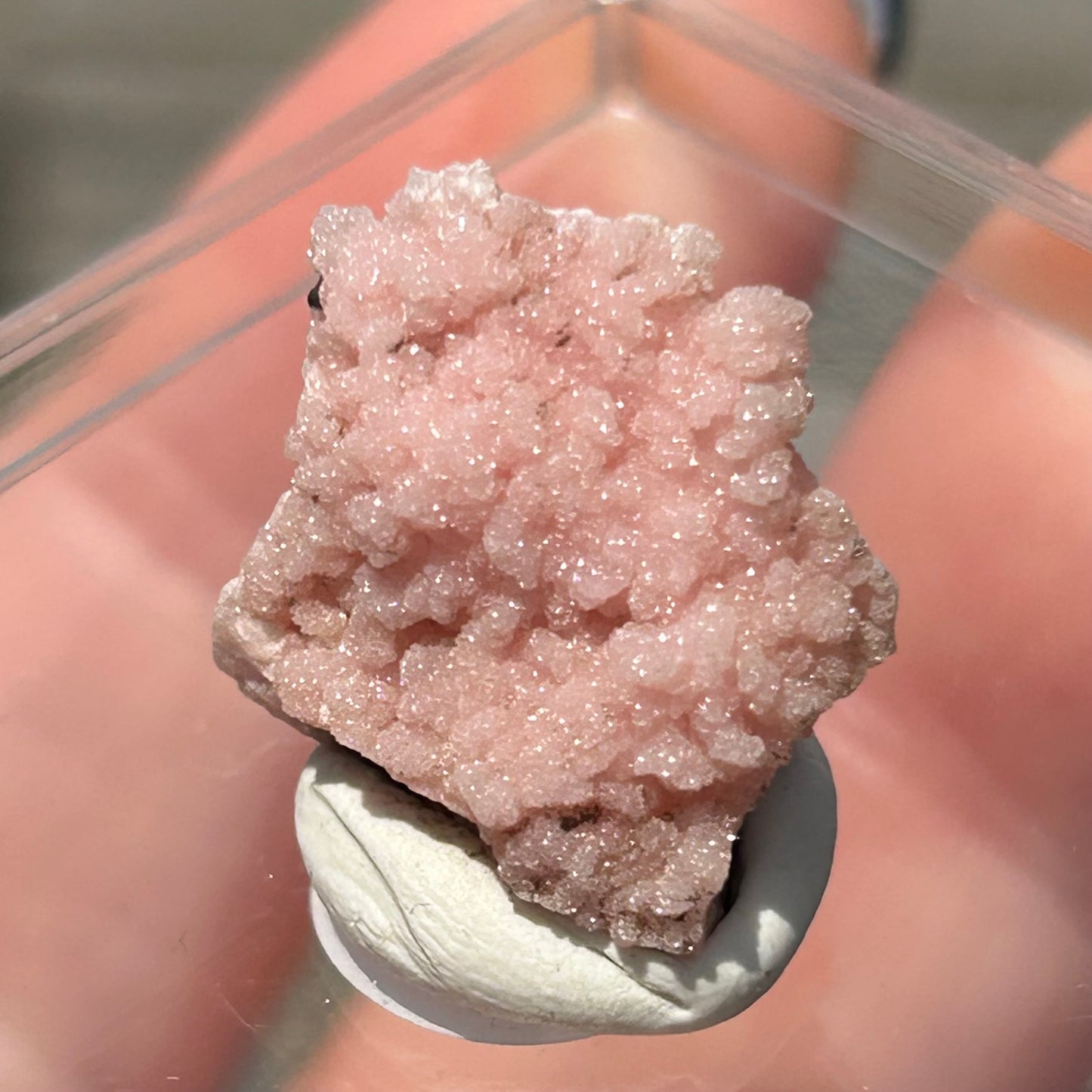 Pink Botryoidal Rhodochrosite from Potisi Mine, Francisco, Santa Eulalia, Chihuahua, Mexico 🇲🇽 #18