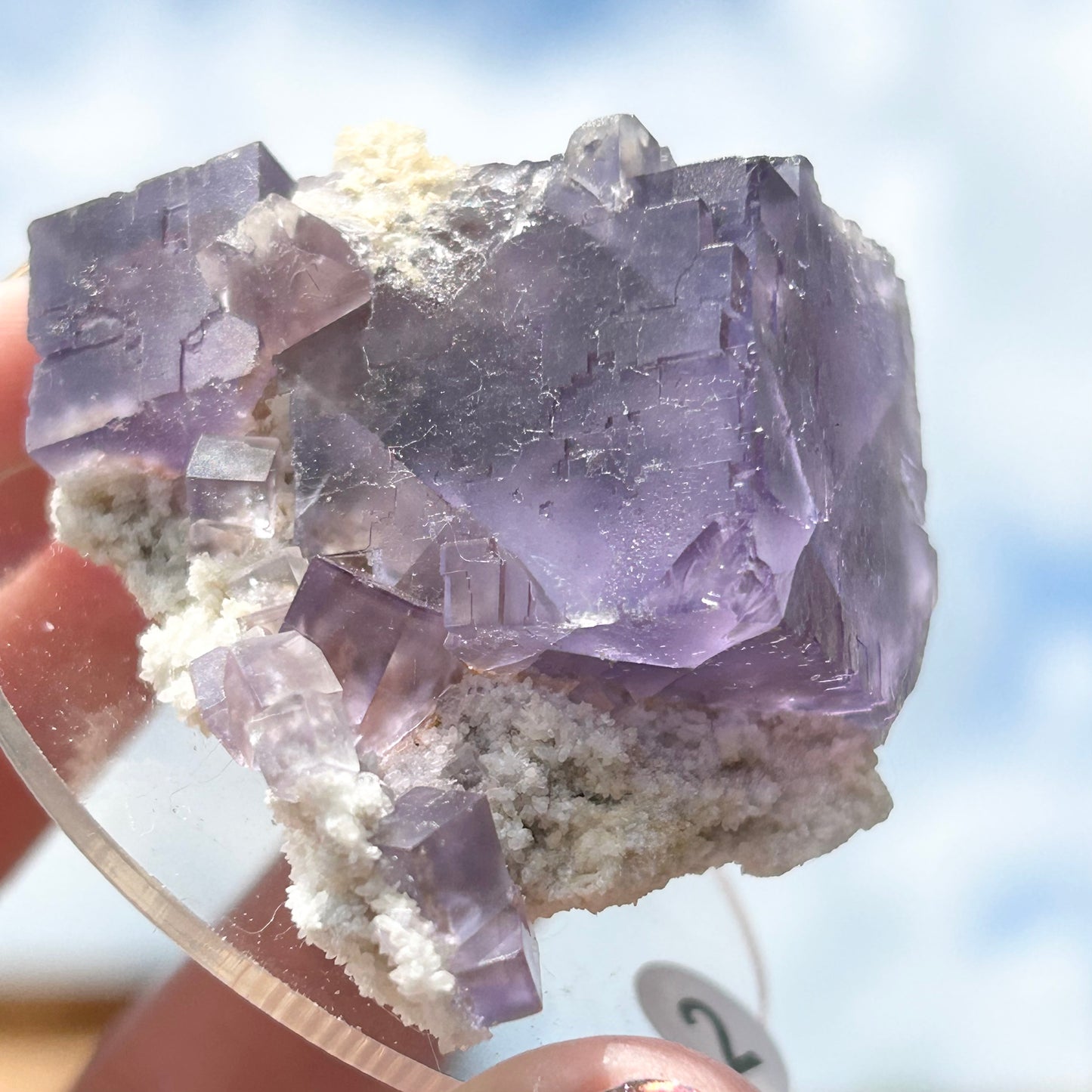 Blue-Purple Step Fluorite Large from Berbes Quarry, Berbes Mining Area, Ribadesella, Asturias, Spain 🇪🇸 (Closed Quarry - Mined in 1980s) #2 High Quality