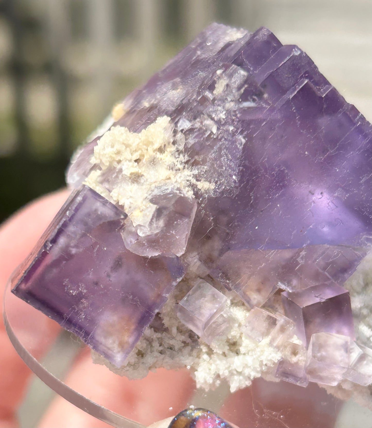 Blue-Purple Step Fluorite Large from Berbes Quarry, Berbes Mining Area, Ribadesella, Asturias, Spain 🇪🇸 (Closed Quarry - Mined in 1980s) #2 High Quality