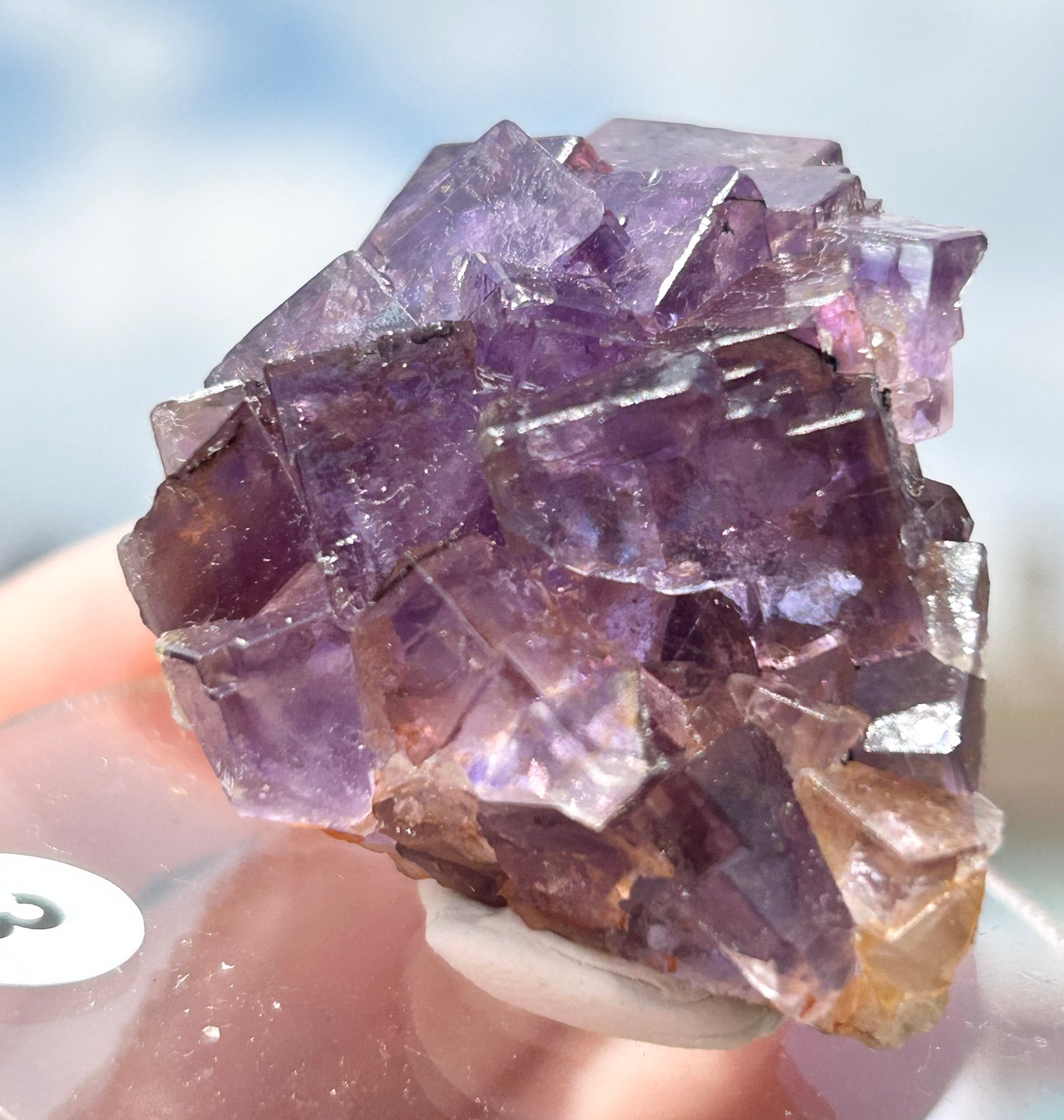 Blue-Purple Step Fluorite from Berbes Quarry, Berbes Mining Area, Ribadesella, Asturias, Spain 🇪🇸 (Closed Quarry - Mined in 1980s) #3 High Quality