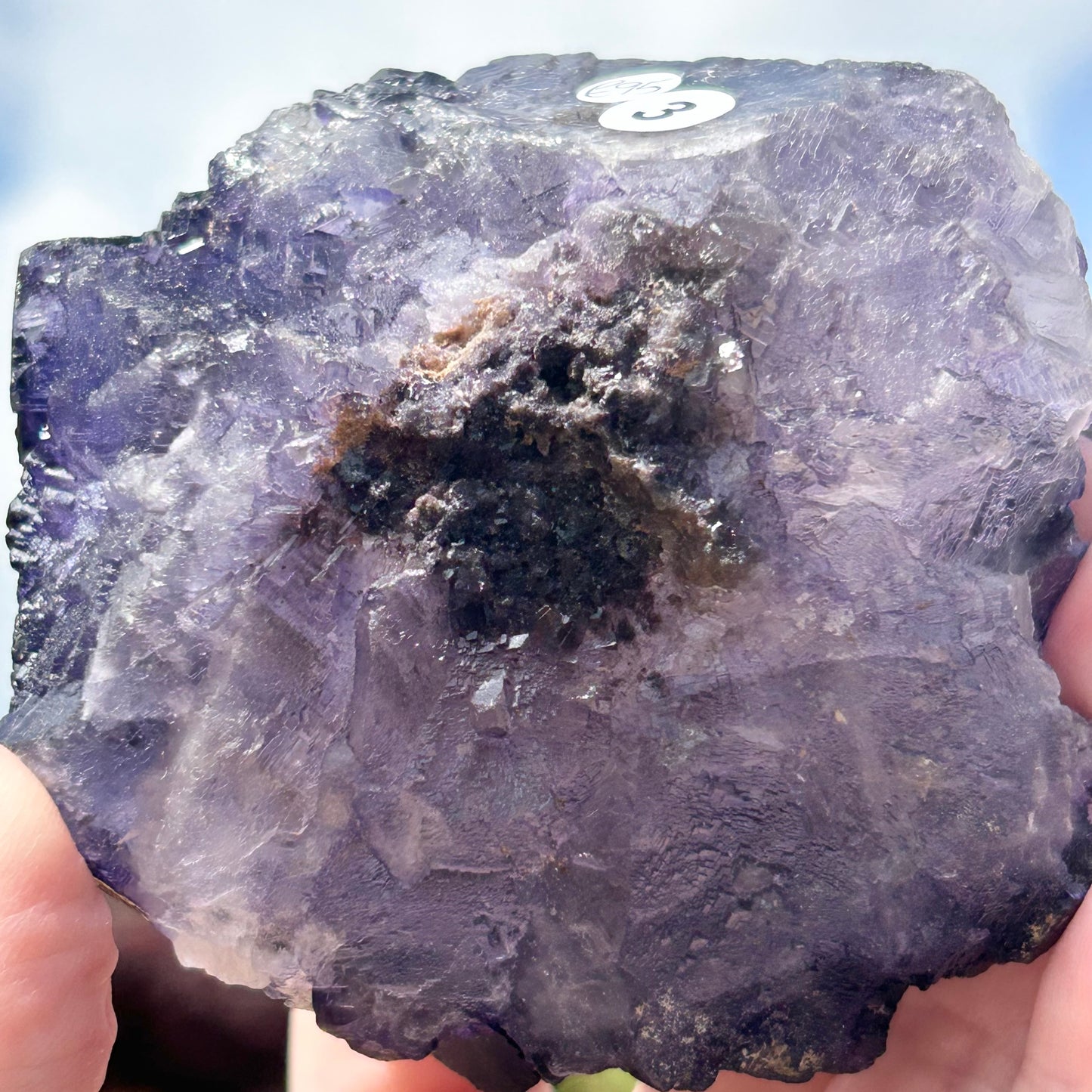 Purple & White Step Fluorite XL from La Encantada Mine, Muzquiz, Coahuila, México 🇲🇽 #3