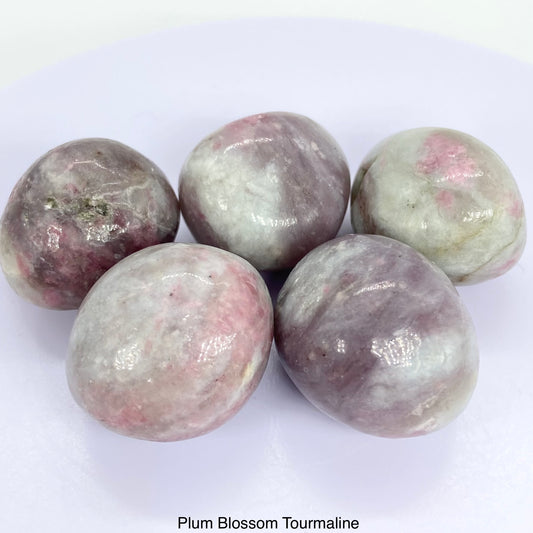 Plum Blossom Tourmaline Tumbles