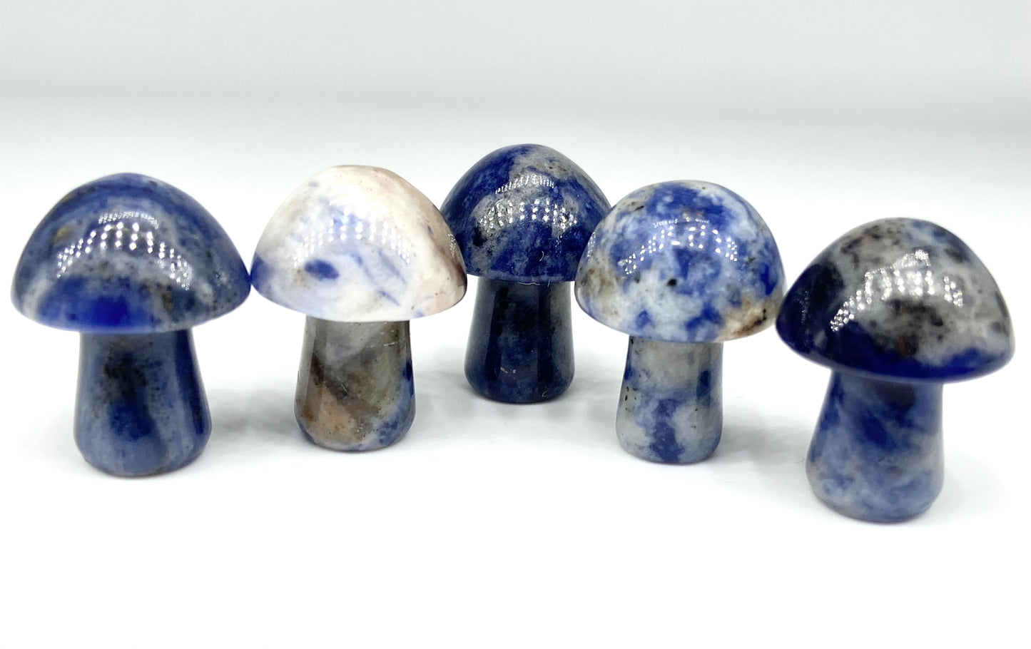 🍄 Mystery Crystal Mushroom 🍄