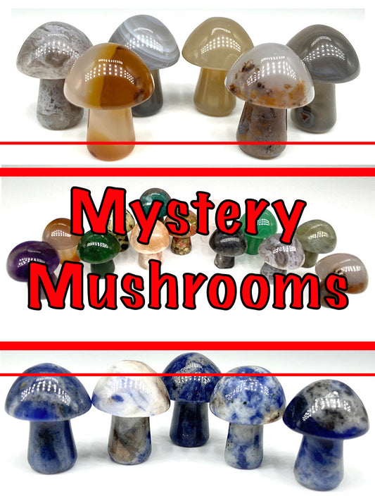 🍄 Mystery Crystal Mushroom 🍄