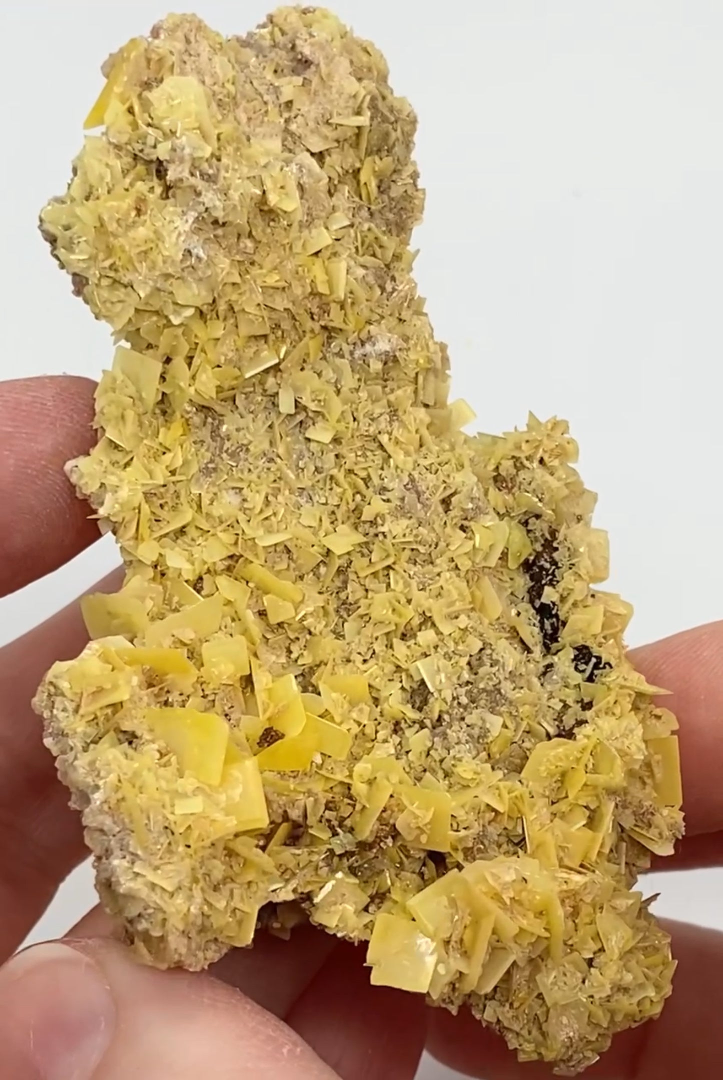 Moroccan Yellow Wulfenite Small Specimen In Display Box Number 5 🇲🇦