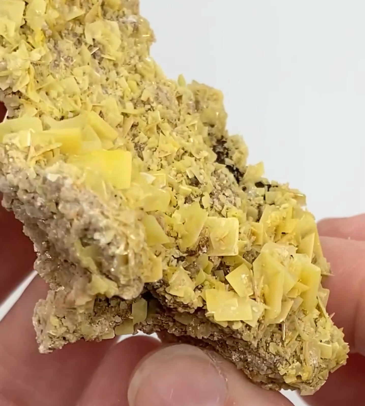 Moroccan Yellow Wulfenite Small Specimen In Display Box Number 5 🇲🇦