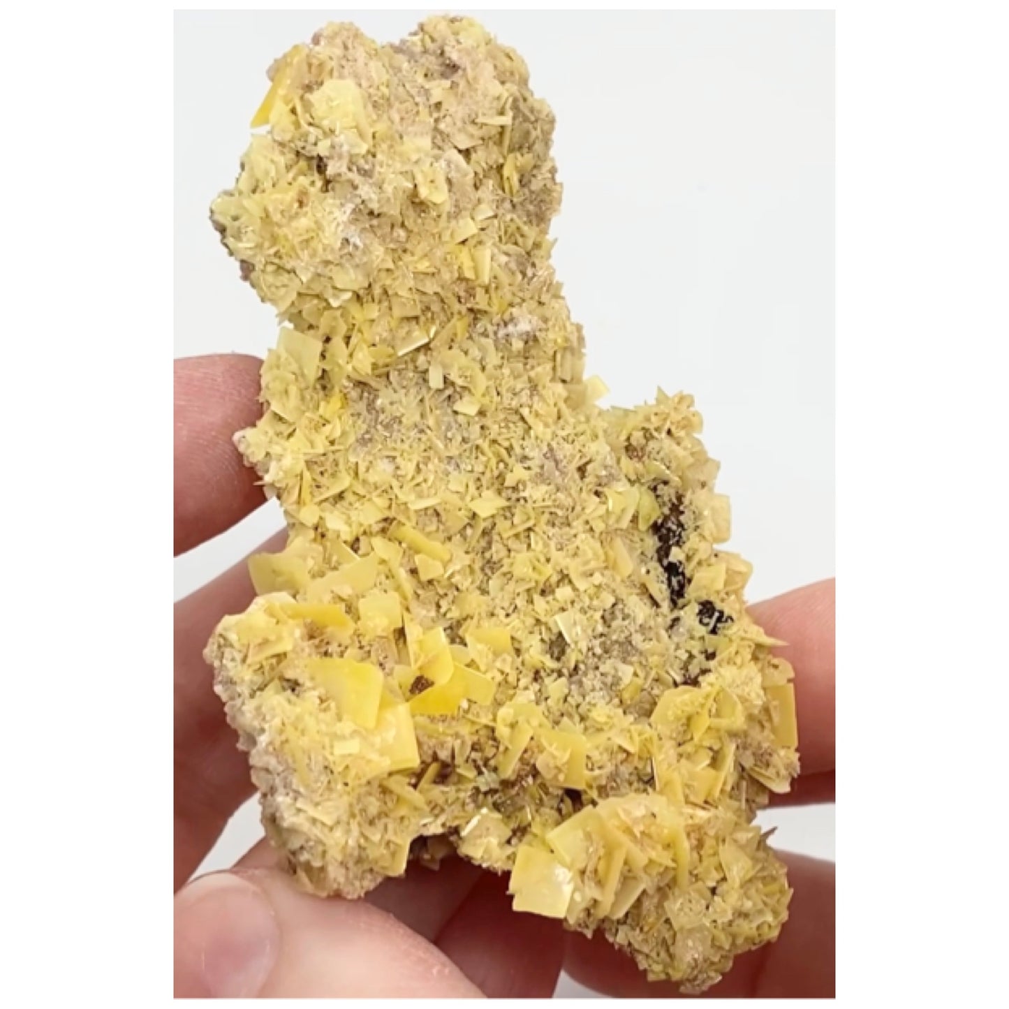 Moroccan Yellow Wulfenite Small Specimen In Display Box Number 5 🇲🇦